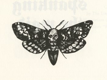 An illustration of a death's-head hawkmoth by Rikki. 
