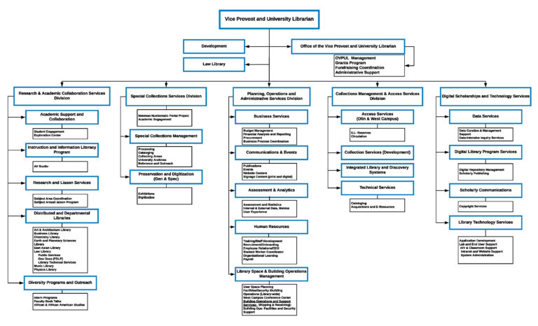 Organizational Chart | Washington University in St. Louis