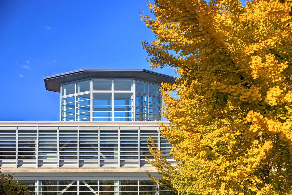 Exterior roof of the Olin Library with a yellow ginkgo tree.
