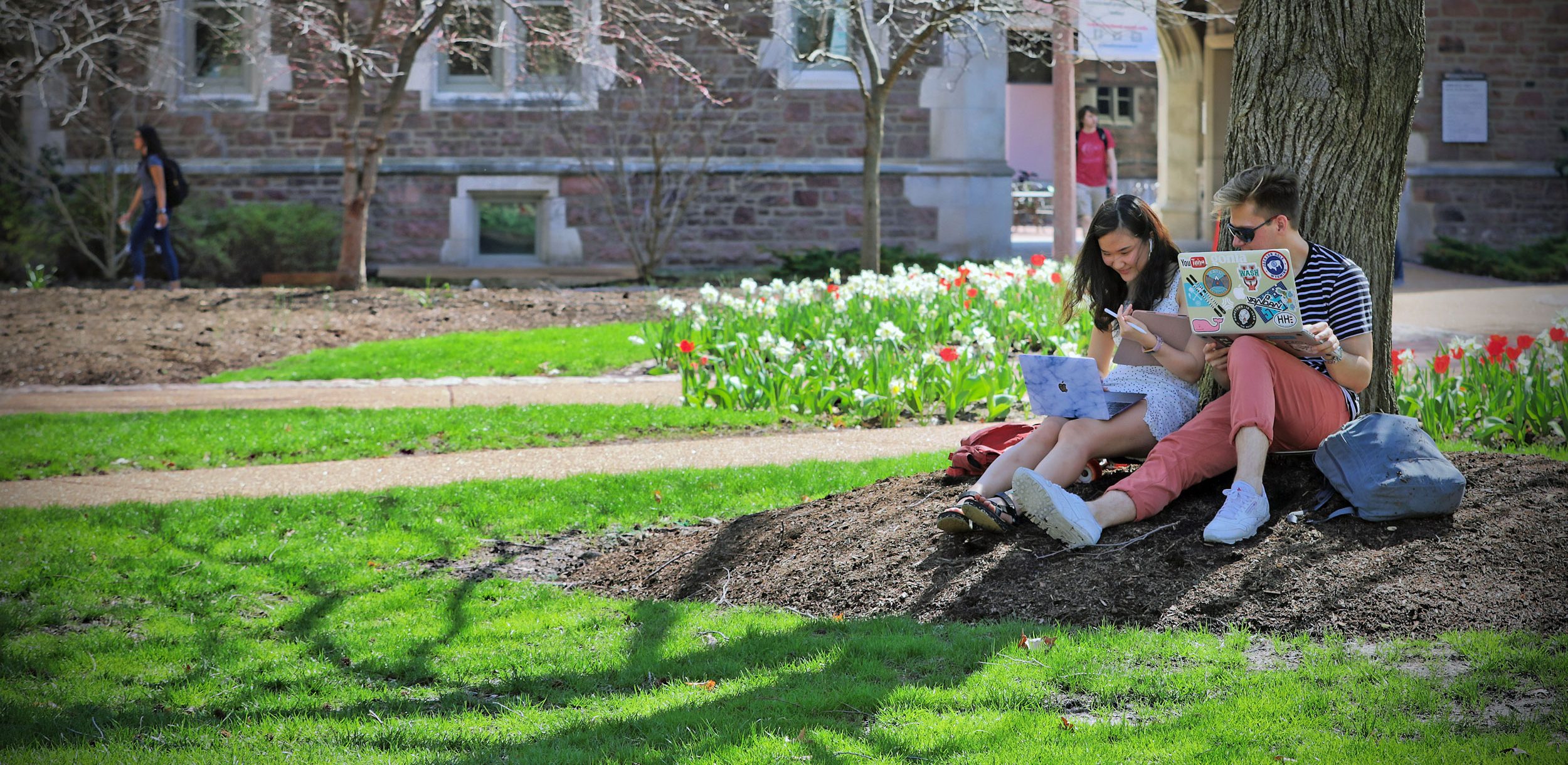 Two students studying with laptops beneath a tree on campus.