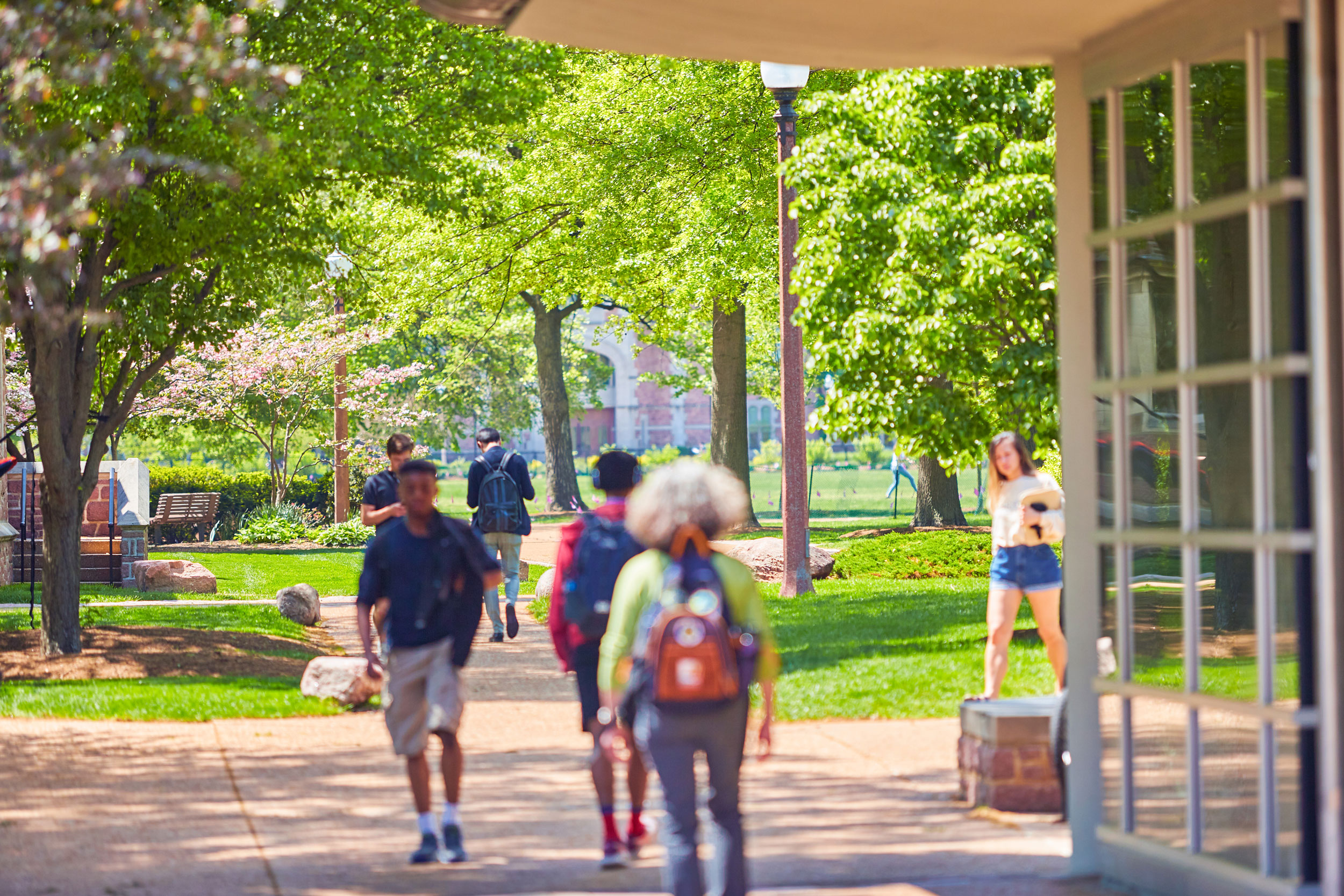 organization-chart-university-libraries-washington-university-in-st