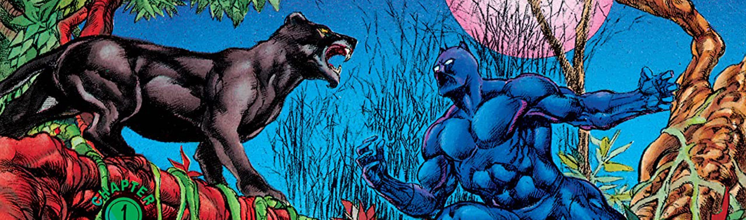 The Black Panther (superhero) in-suit and facing off a black panther (large feline).
