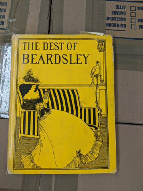 The book cover for The Best of Beardsley by Aubrey Beardsley shows a woman in an elaborate gown and hat reading on a striped sofa with a bird on a stand nearby.
