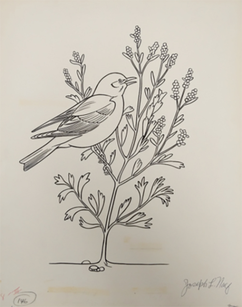 The coloring book drawing is of a bird perched on a small, flowering bush.
