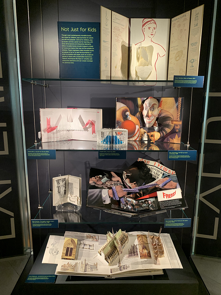 Display titled "Not Just for Kids," part of the Moving Magic exhibition. The display features anatomy, architecture, graphic novels, and more.