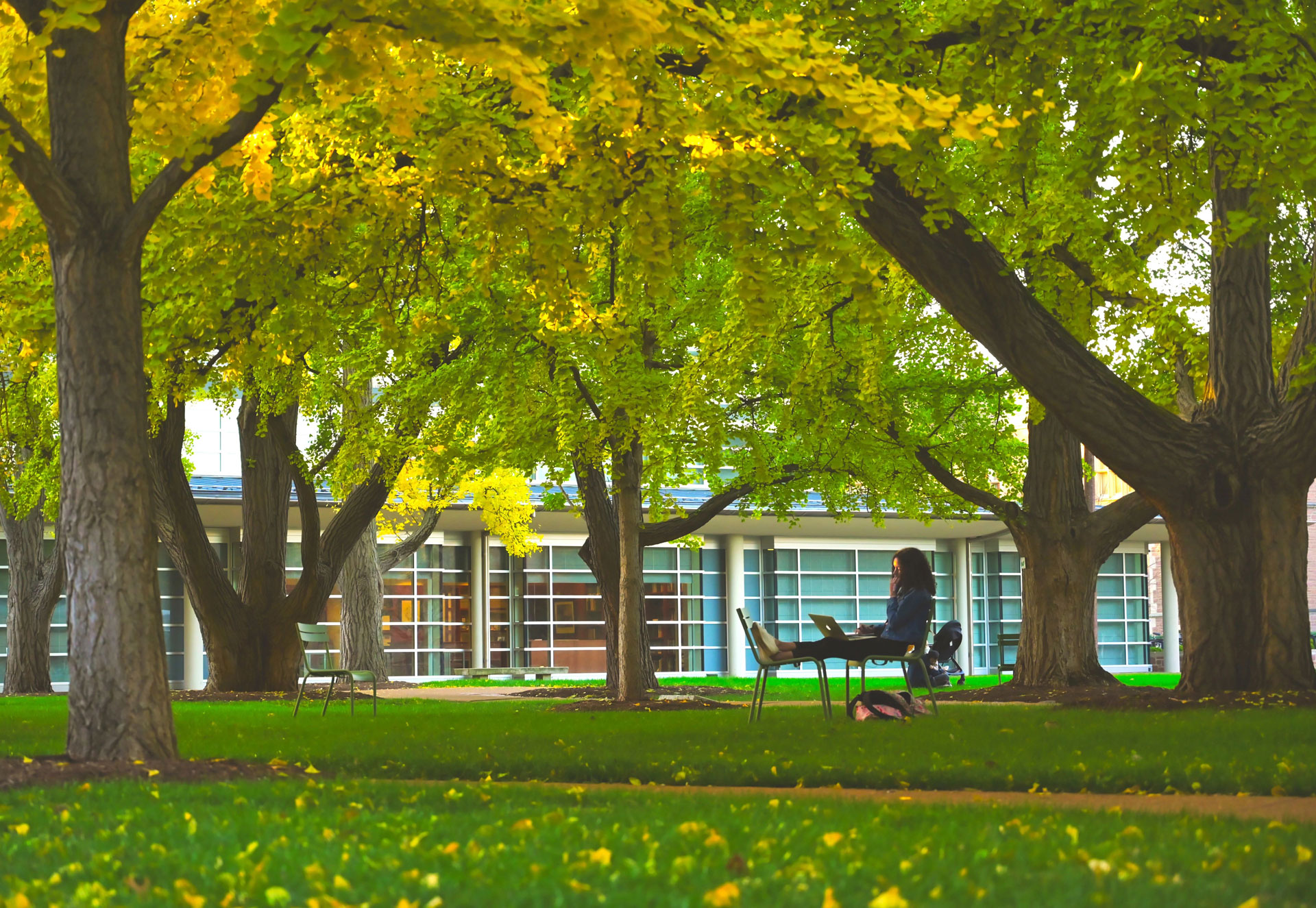 A student studying on the lawn outside of Olin Library.