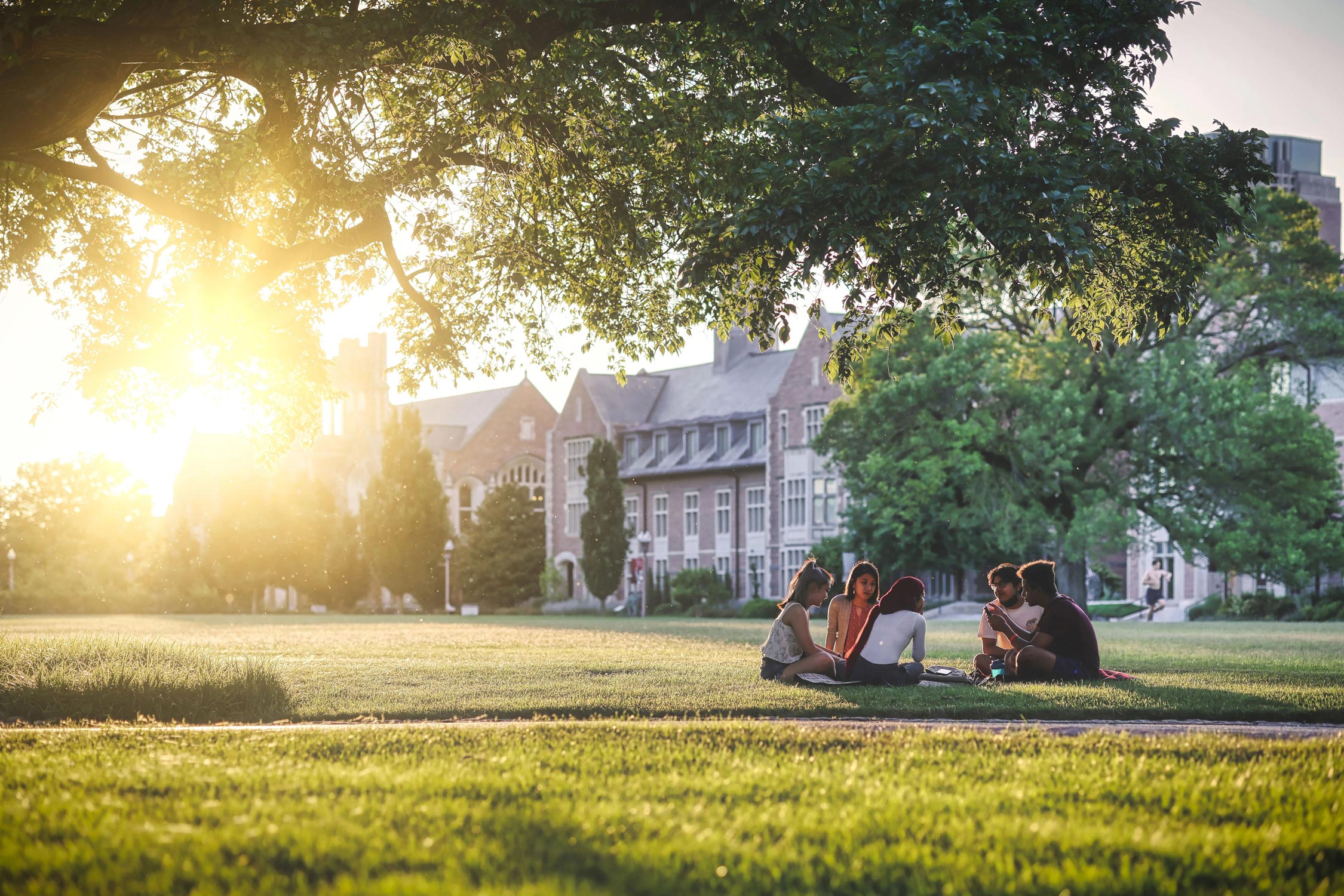 Students sitting on a campus quad during a sunny day.