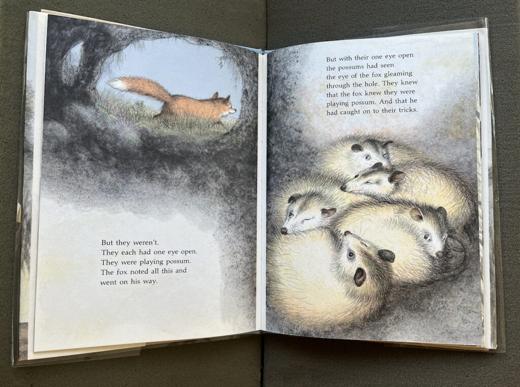 Drawings of a fox and possums pretending to sleep.