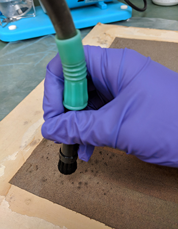 A University Libraries Preservation staff member is wearing nitrile gloves and using a specialized tool to remove mold from one of the items within the University Libraries' Collections.
