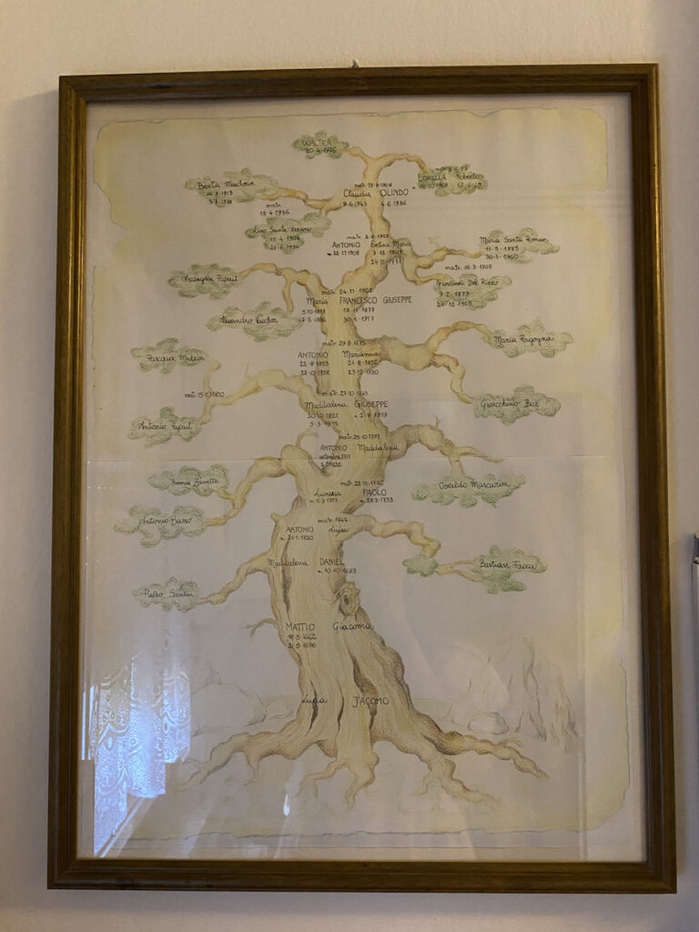 A framed drawing of a tree with labels aon the trunk and branches