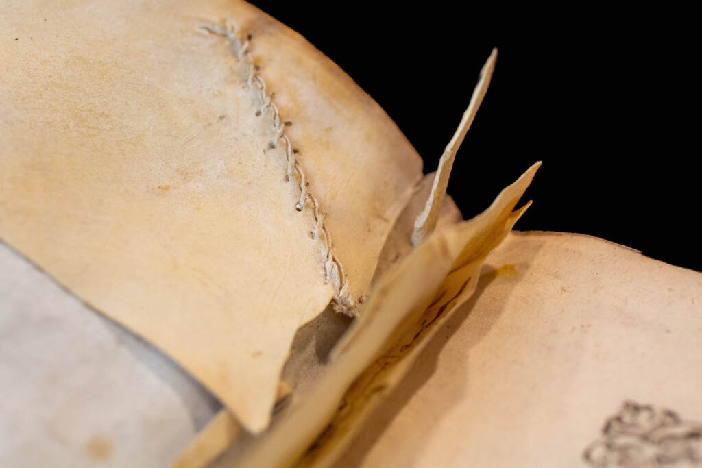 Sewn pages of a book