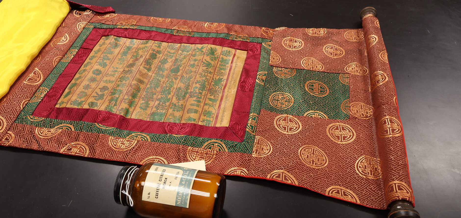 A silk scroll detailing medicinal plants.