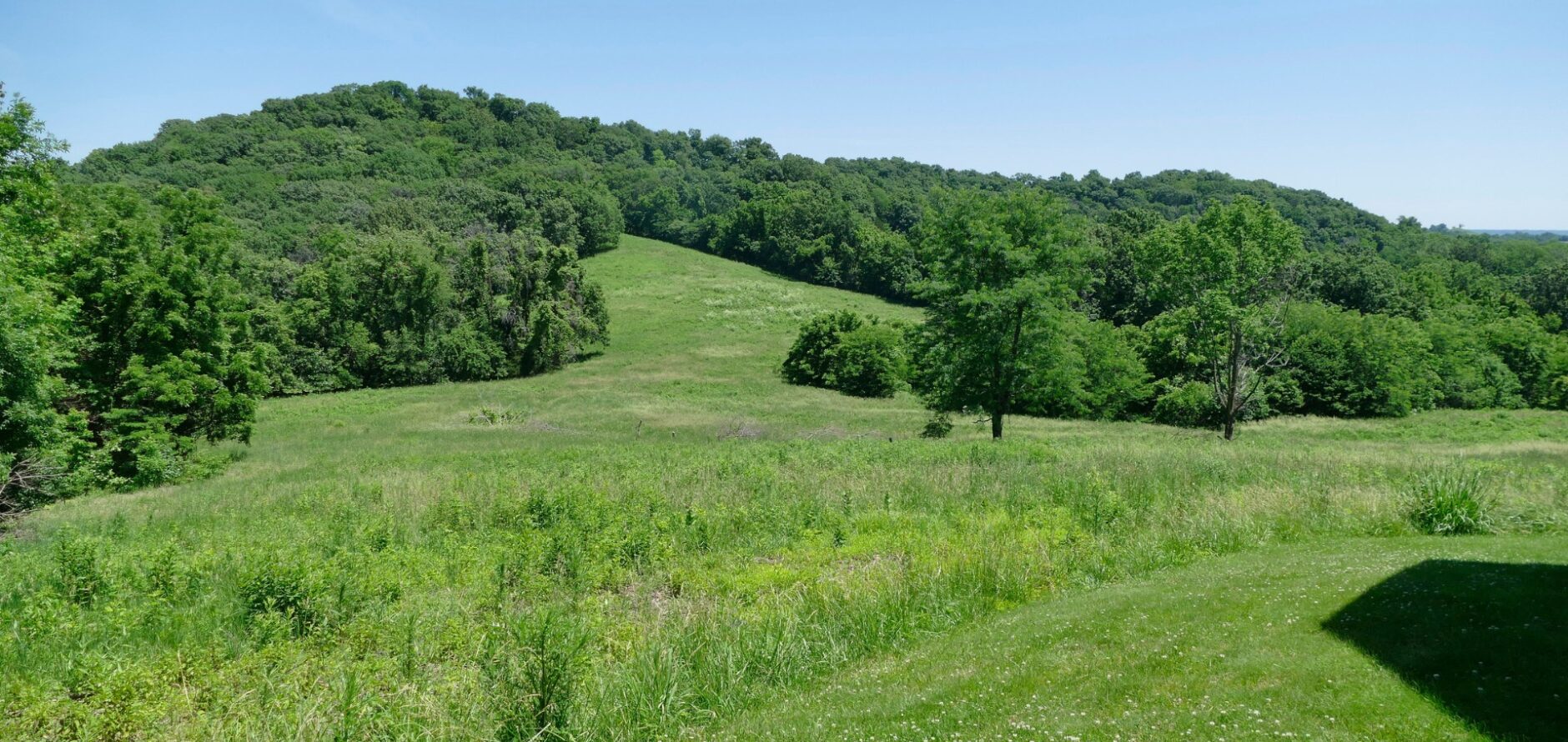 Missouri landscape of rolling hills, green grass