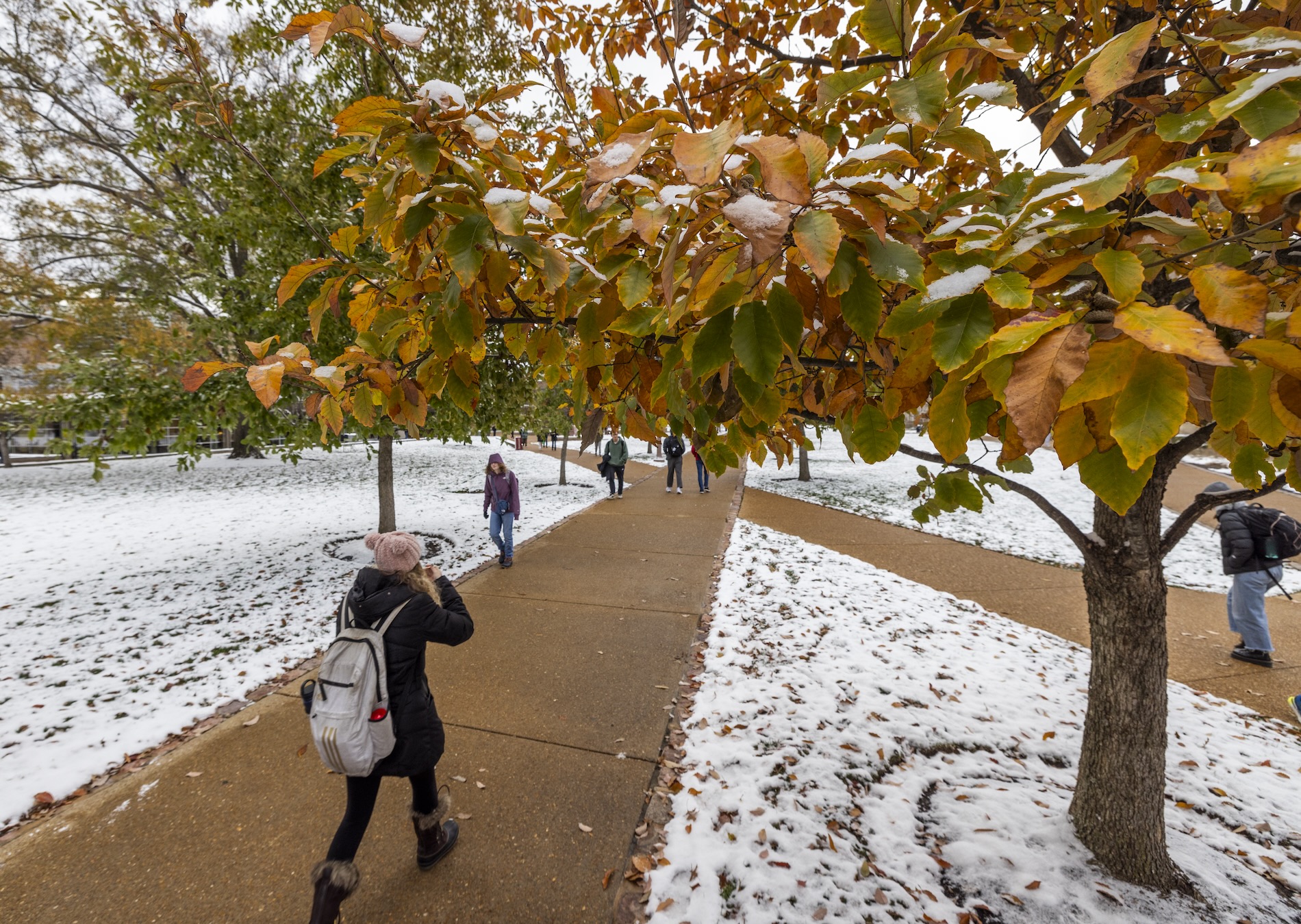 Snow on the Danforth campus